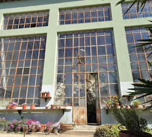 In den historischen Gewächshäusern des Gartens