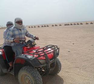 Kuschelkurs mit Guide