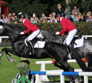 Springquadrille