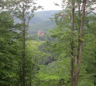 Auf dem Weg zur Löwenstein