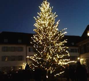 Großer Weihnachtsbaum vorm Münster