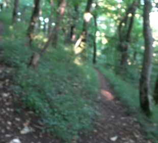 Burgruine Andeck Talheim