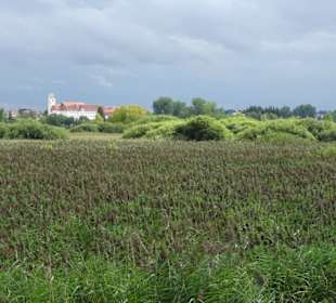 Federsee