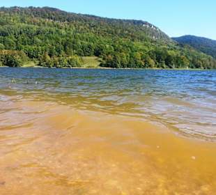 Am Ufer Wasserstand hoch