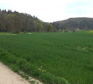Eiszeitpfad - Burgfelsenpfad