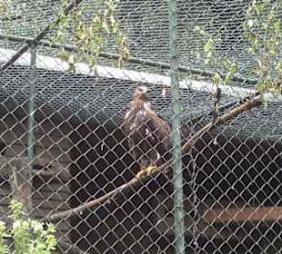 Zoo Olomouc