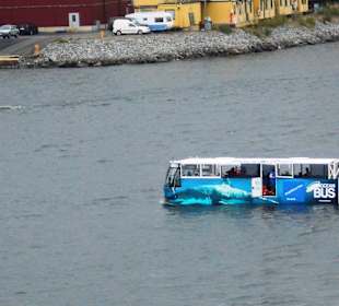 Ocean Bus