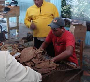 Paradiesinselausflug