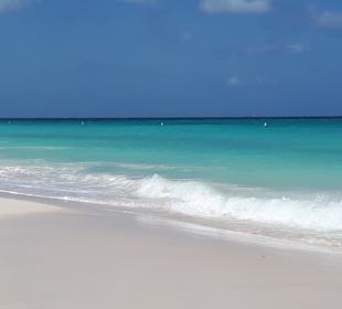 Eagle Beach Aruba 