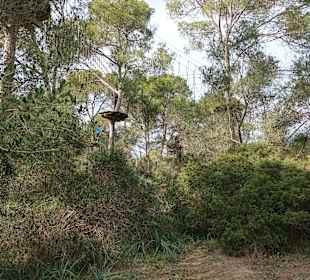 TirolinasGo Mallorca Forestal Park