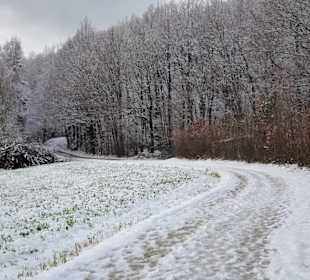Der Wanderweg auf den Veitsberg