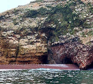 Ausflug Ballestas Inseln