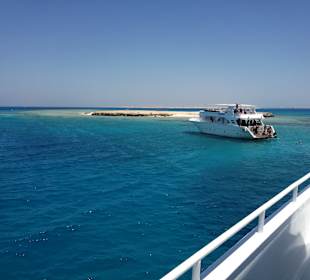 Delfin Tour Hurghada