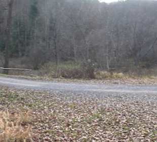 Schönbuch Schaichtal