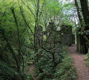 Fussweg durch die Schlucht