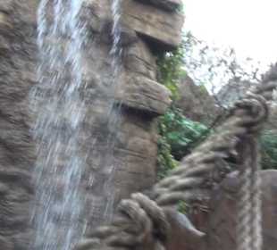 Deep in Africa - Black Mamba