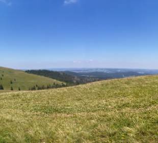 Wandern Feldberg