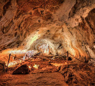 Cuevas de Urdax