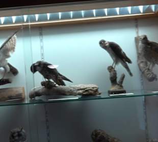 Heimatmuseum Oberstdorf