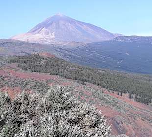 Teide Nationalpark