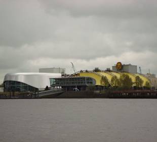 Das Wunder von Bern und König der Löwen