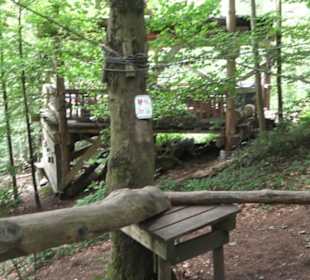 Natur-Hochseilgarten Triberg