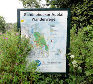 Spaziergang durch das Schönebecker Auetal