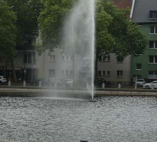 Beim künstlichen See im Kölner Mediapark