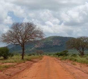 Wunderschöner Tsavo