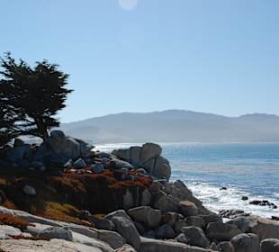 17 Miles Drive im Oktober