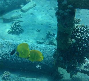 Bei der versunkenen Stadt