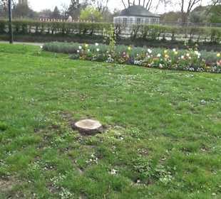 Bürgerpark Offenburg