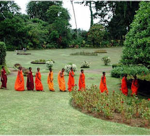Mönche im Botanischen Garten