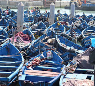 Am Fischerhafen von Essaouira