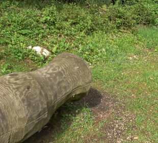 Phäno-Pfad Aichstetten