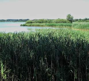 Blick vom Beobachtungsturm im Kurpark Seebruck