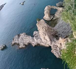 Strand Agathi