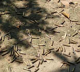 Patronenhülsen ohne Ende