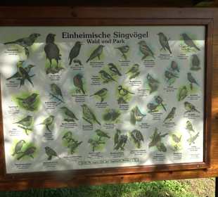 Arboretum Bondorf