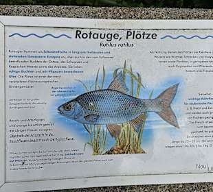 Fischlehrpfad