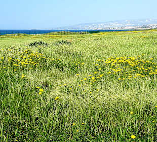 Archäologischer Park Kato Pafos