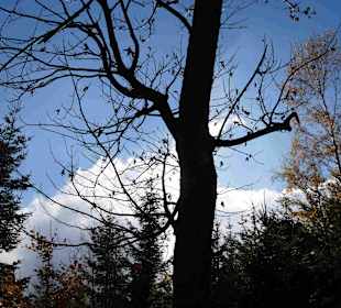 Riesengebirge/Karkonosze