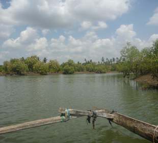 Blick den River entlang