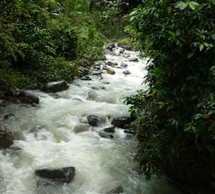 Kinabalu Nationalpark