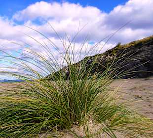 Wandern Cala Ratjada