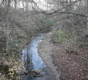 Fluss Breitenbach