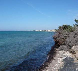 Spaziergang in den Dünen