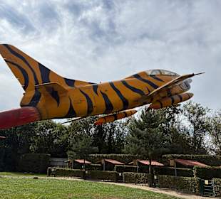 Irrland Bauernhof-Erlebnisoase