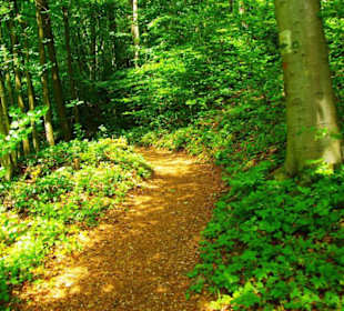 Wanderung zum Bärenfels