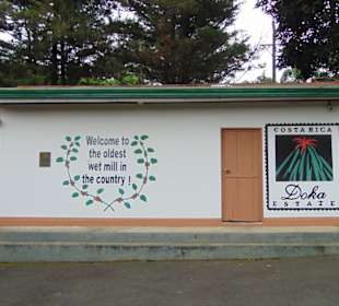 Doka Estate Kaffeeplantage